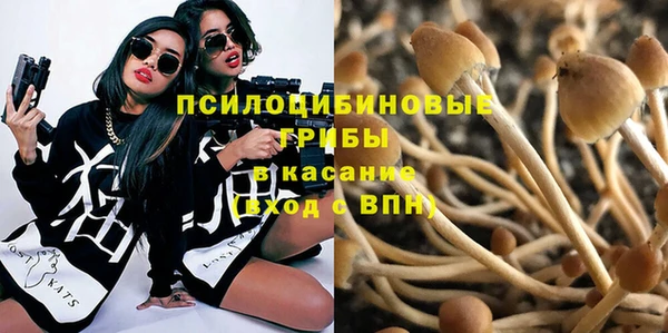 винт Алексин