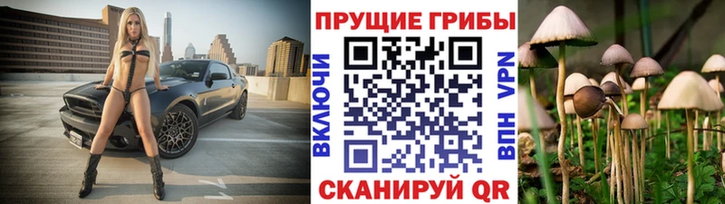 мега как зайти  закладка  Талдом  Псилоцибиновые грибы MAGIC MUSHROOMS 